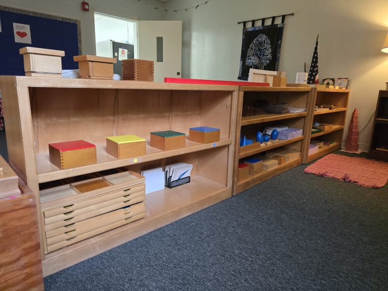Understanding Montessori Works